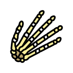 Hand Bone  Icon