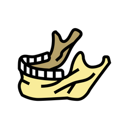 Jaw Bone  Icon