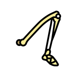 Leg Bone  Icon