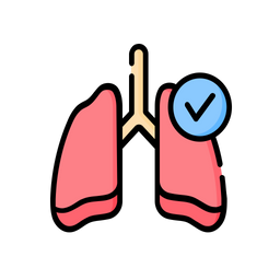 Lungs  Icon