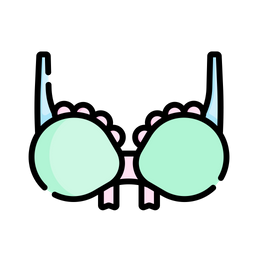 Bra  Icon