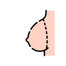 Breast cergery  Icon