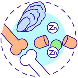 Eat foods high in zinc  Icon