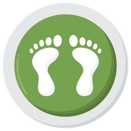 Ecological Footprint  Icon