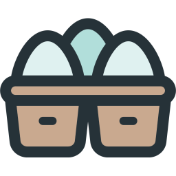 Eggs  Icon