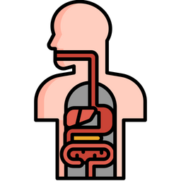 Anatomy  Icon