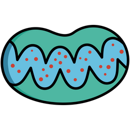 Cell Organelle  Icon