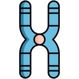 Chromosome  Icon