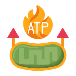 Atp Adenosine Triphosphate  Icon