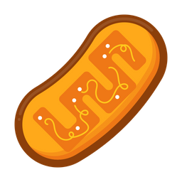 Cell Organelle  Icon