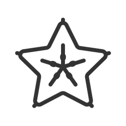 Star Fruit  Symbol