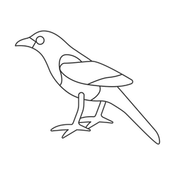 Magpie  Icon