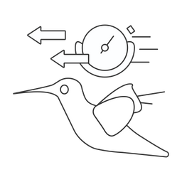 Hummingbird  Icon