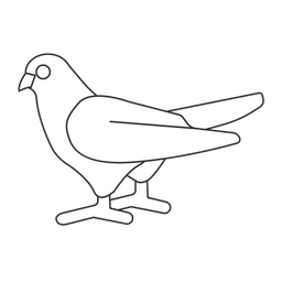 Dove  Icon