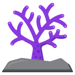 Coral  Icon