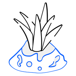 Aloe Vera  Icon