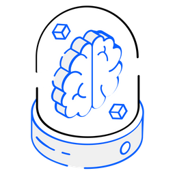 3d Brain  Icon