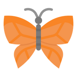 Butterfly  Icon