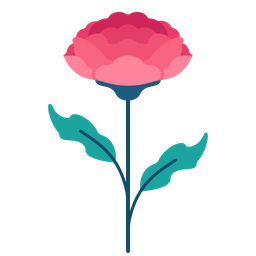 Carnation  Icon