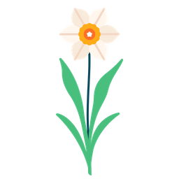 Daffodil  Icon