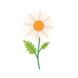 Daisy  Icon