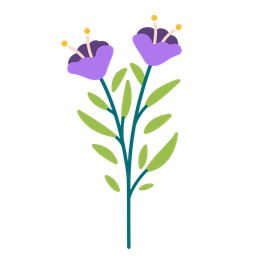 Flower  Icon