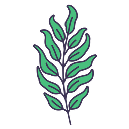 Fern  Icon