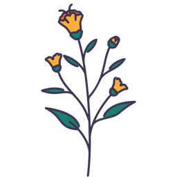 Flower  Icon