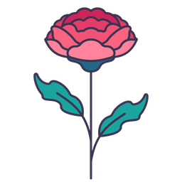 Carnation  Icon