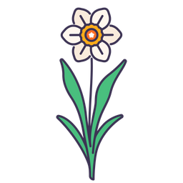 Daffodil  Icon