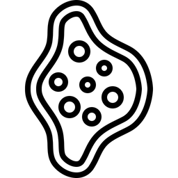 Schimmel  Symbol