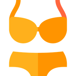 Bikini  Icon