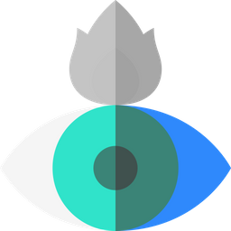 Eye  Icon