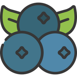 Blueberries  Icon