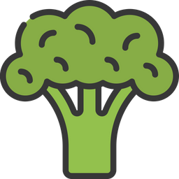 Broccoli  Icon