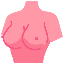 Breast Augmentation  Icon