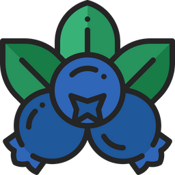 Blueberry  Icon