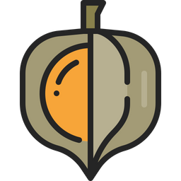 Cape gooseberry  Icon