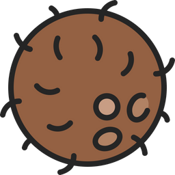 Coconut shell  Icon