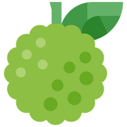 Custard apple  Icon