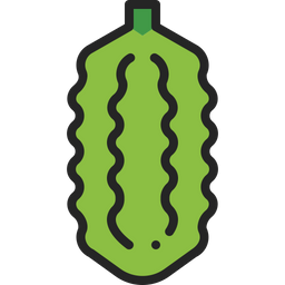 Bitter gourd  Icon