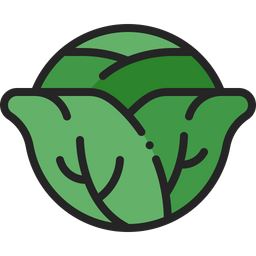 Cabbage  Icon