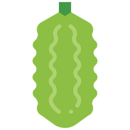 Bitter gourd  Icon