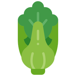 Bok choy  Icon