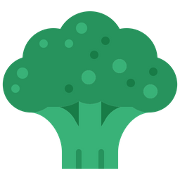 Broccoli  Icon