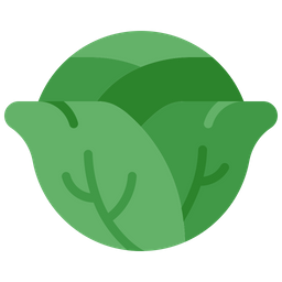 Cabbage  Icon