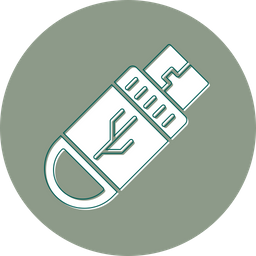 Flash drive  Icon