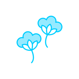 Cotton flowers  Icon