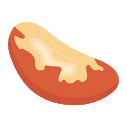 Brazil Nut  Icon