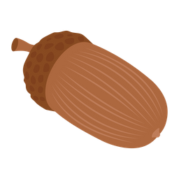 Acorn  Icon